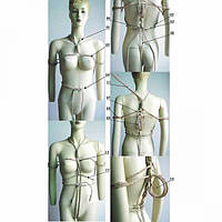 Шибарі та мотузки