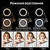 Комплект кільцева лампа 45 см зі штативом 2 метри посиленим NeePho LED RGB Кільцеве світло від мережі для освітлення, фото 2