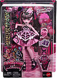 Лялька Monster High Scary Sweet Birthday Draculaura, фото 6