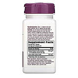 Валеріана, Valerian Nighttime, Nature's Way, без присмаку, для сну, 100 таблеток, фото 2