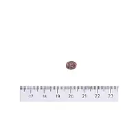 Сухий корм для дорослих собак дрібних порід Brit Care Adult Small Breed Lamb & Rice з ягняти 7 кг, фото 4