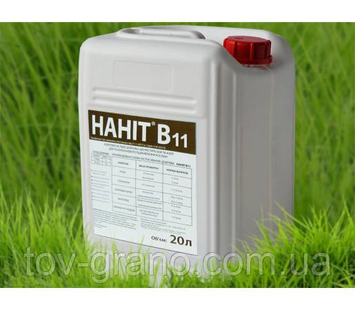 Наніт B11