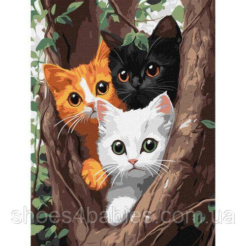 Картина за номерами "Котики на дереві", 30х40 см