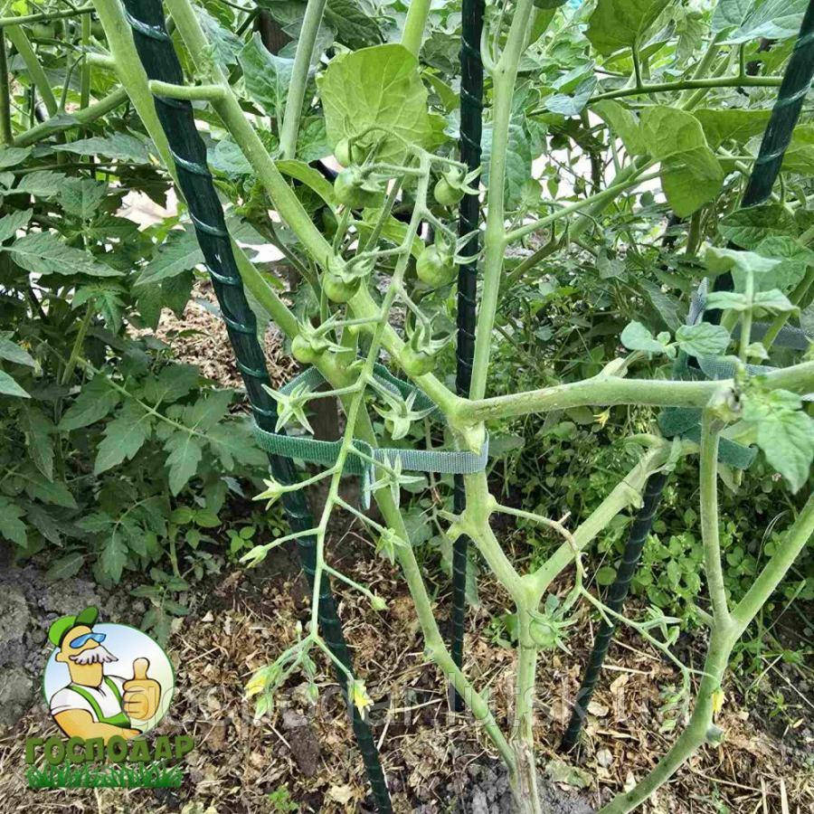 Опора для рослин із композинтної арматури, композитні опори для підв'язки помідорів - 10 штук (12мм), фото 1