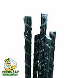 Опора для рослин із композинтної арматури, композитні опори для підв'язки помідорів - 10 штук (12мм), фото 4