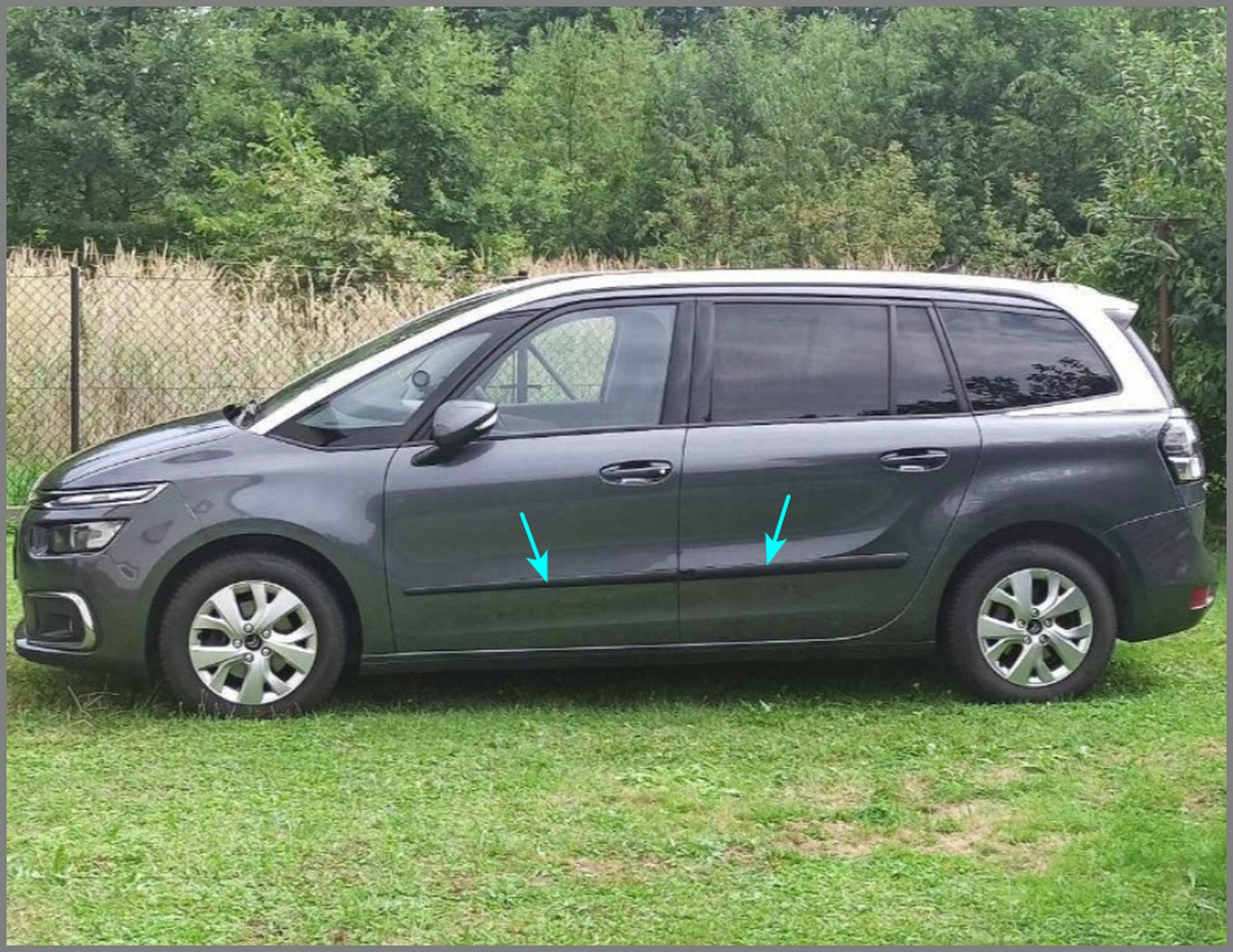 Молдинги на двері для Citroën C4 Grand Picasso II 2013-2022, фото 1