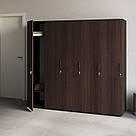 П'ятидверна розпашні шафа з ДСП для одягу Шафки для роздягальні спортивної на 5 секцій з замком 200 см, фото 6