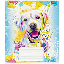 Зошит 36 арк. лінія "МРІЇ" / Собаки, фото 5