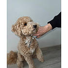 Набір ножиць для грумінгу Purlov 23186 – для собак і котів, 5 предметів, фото 7