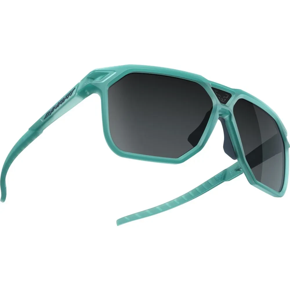 Окуляри Dynafit Traverse Sunglasses
