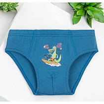 Трусики дитячі для хлопчика ТМ Baykar р.1 (98-104 см)