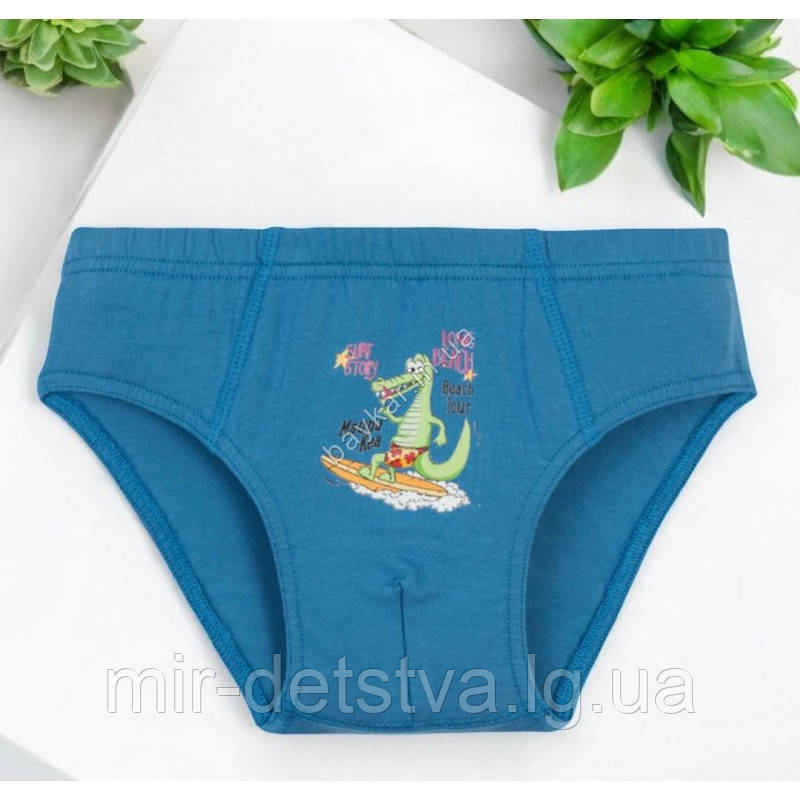 Трусики дитячі для хлопчика ТМ Baykar р.1 (98-104 см), фото 1