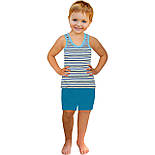 Комплект майка борцівка та шорти р.30  01.04.04, фото 2