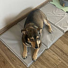 Охолоджуючий килимок-лежанка Purlov 25537 – для тварин, 110x70 см, сірий, фото 6