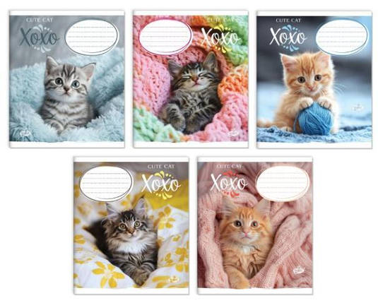 Зошит 12 листов клітка "Бриск" / Милий котик, фото 1