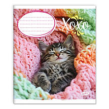 Зошит 12 листов клітка "Бриск" / Милий котик, фото 2