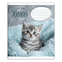 Зошит 12 листов клітка "Бриск" / Милий котик, фото 3