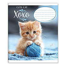 Зошит 12 листов клітка "Бриск" / Милий котик, фото 4