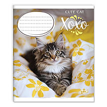 Зошит 12 листов клітка "Бриск" / Милий котик, фото 5