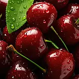 Медовий бальзам для губ "Вишня" (6.5г), фото 2