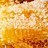 Медовий бальзам для губ "Мед" (6.5г), фото 2