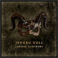 Jethro Tull Curious Ruminant (2025) Audio CD (імпорт, буклет)