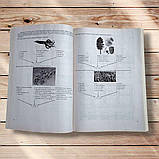 ЗНО Біологія Тренажер Авт: Барна І. Вид: Підручники і Посібники, фото 3