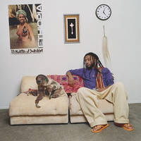 Вінілова платівка Amine - 13 Months of Sunshine 2LP (0810129980738)