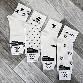 Шкарпетки жіночі демісезонні бавовна середні Chanel Tennis, розмір 37-41, молочні, 015-26