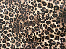 Мікродайвінг Принт Леопард 11, фото 2