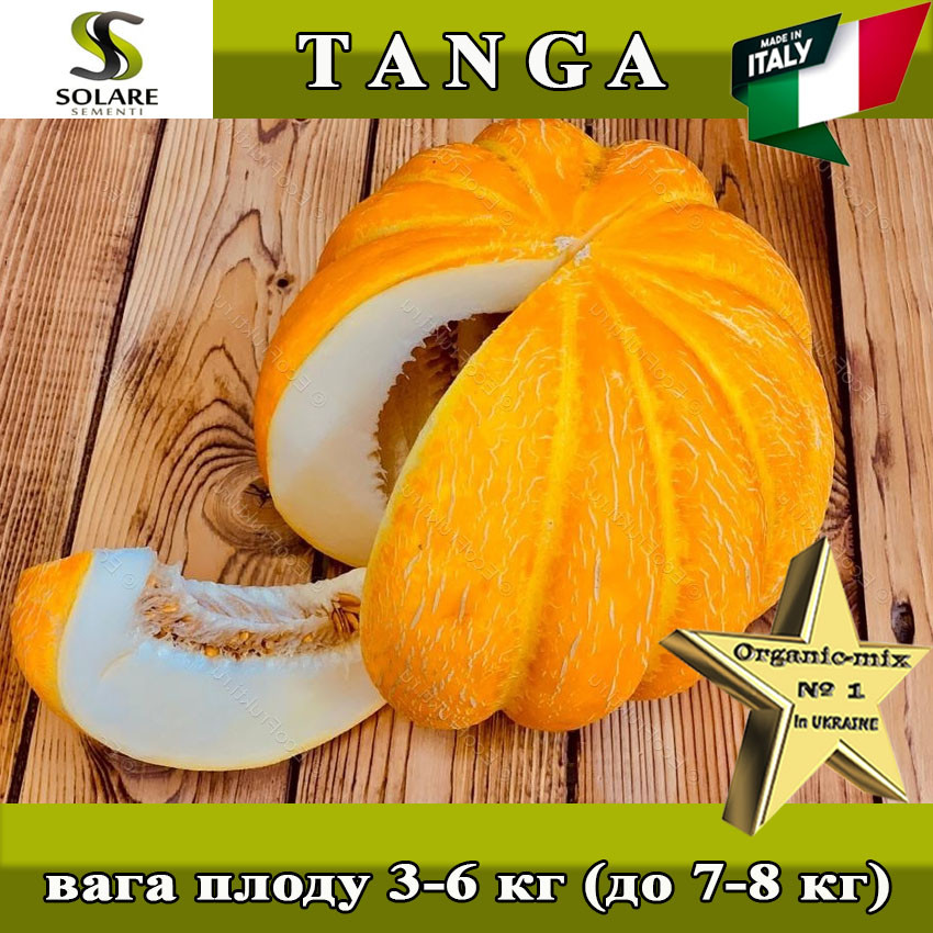 Диня ТАНГА / TANGA (Ефіопка), ТМ Solare Sementi (Італія), проф. пакет 500 грамів