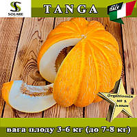 Диня ТАНГА / TANGA (Ефіопка), ТМ Solare Sementi (Італія), проф. пакет 500 грамів