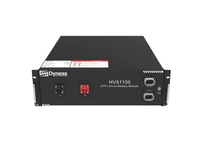Акумуляторна батарея Dyness HV51100 51.2V 100AH 5.12kWh LiFePO4, фото 1