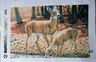 Вишивки 40 х 28 різні. Холст з нанесеним малюнком