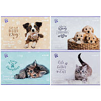 Альбом "Kite" 12арк. софт-тач+УФ лак R25-241