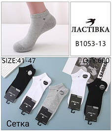 Шкарпетки Жіночі Чоловічі (Новинки)