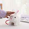 М’яка іграшка кролик на повідку ходить звук інтерактивна тваринка дитячий плюшевий заєць переноска аксесуари, фото 8