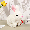 М’яка іграшка кролик на повідку ходить звук інтерактивна тваринка дитячий плюшевий заєць переноска аксесуари, фото 9
