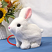 М’яка іграшка кролик на повідку ходить звук інтерактивна тваринка дитячий плюшевий заєць переноска аксесуари, фото 4