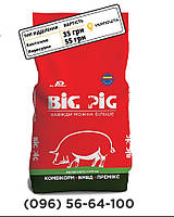 БМВД Матра 20% для лактирующих свиноматок BIG PIG, 10 кг