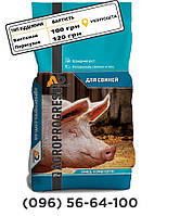 БВМД Старт 25% для поросят 10-32 кг Standart, 25кг