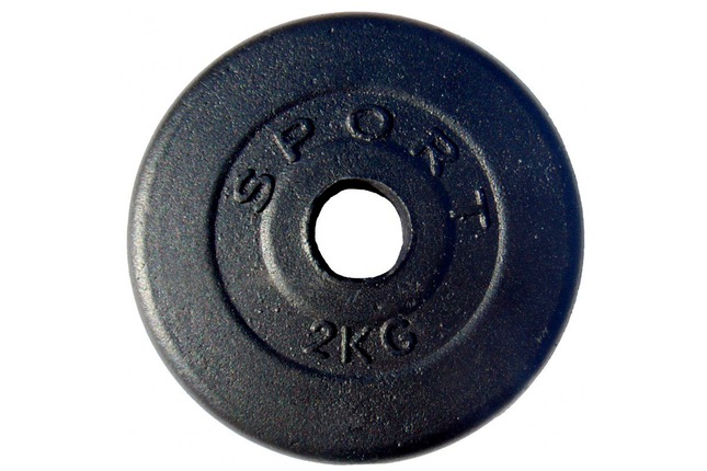 Блін для гантелі металевий диск сталевий для гантелі блін на гантель GoodLift 2 кг діаметр 28 мм чорний, фото 2