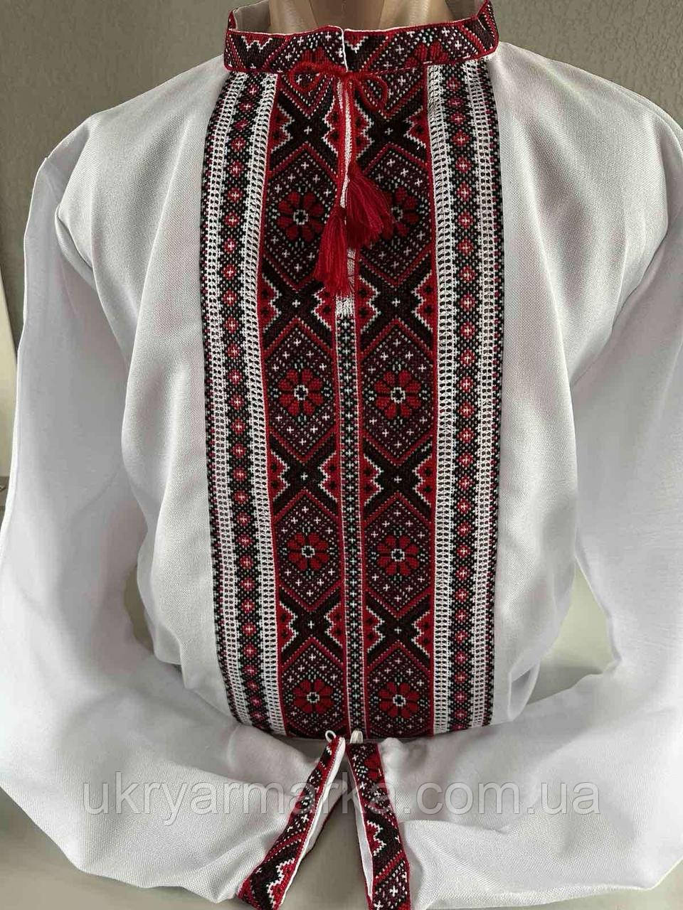 Чоловіча вишивана сорочка "Цілеспрямованний-2" ручної роботи