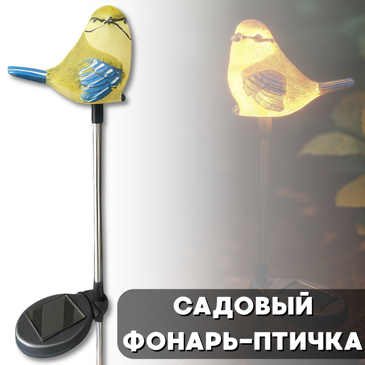 nabir_instrumentiv_2025_06_30t152345.595.png