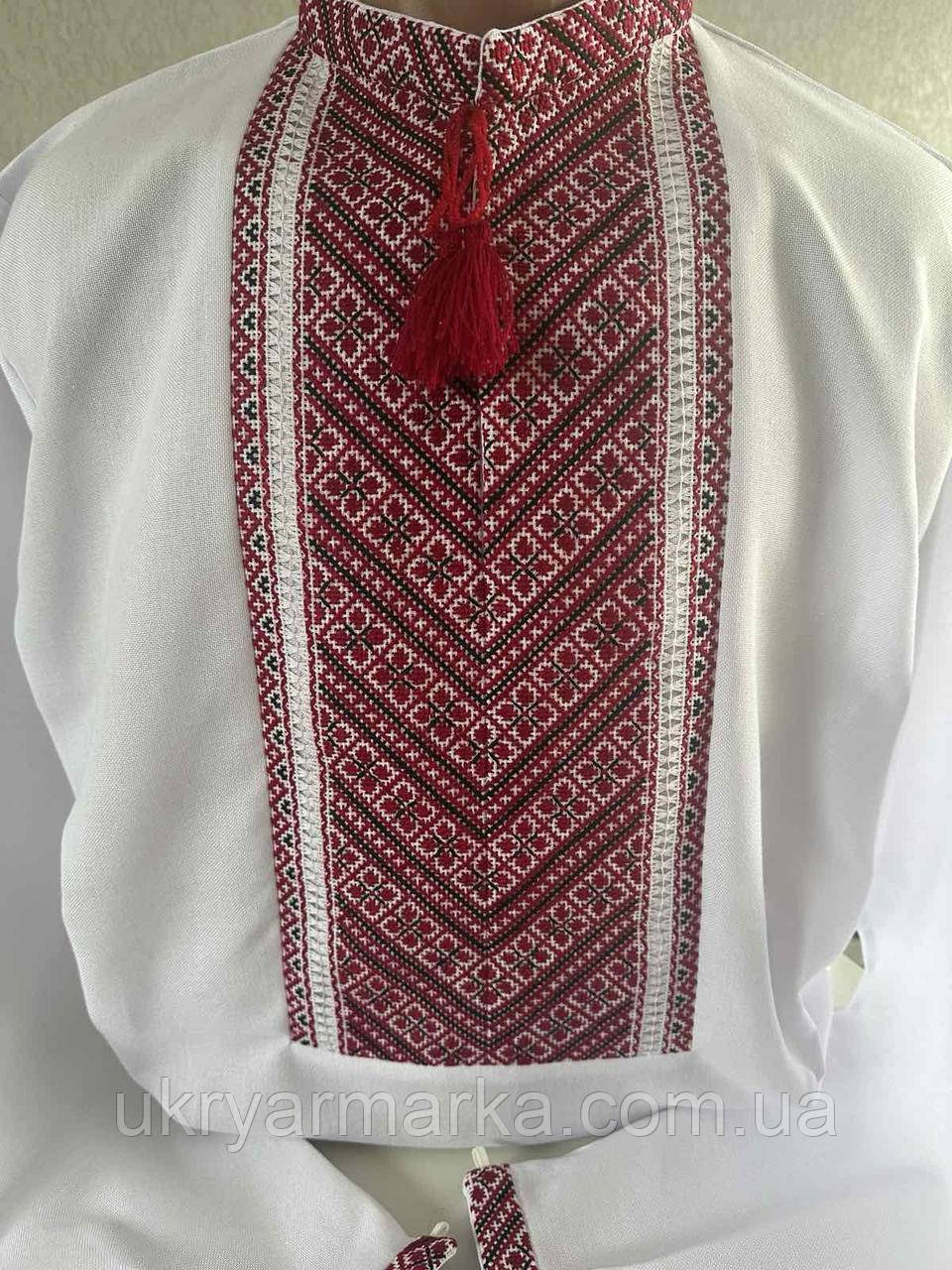 Чоловіча вишита сорочка "Низинка"