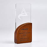 Прямокутна нагорода з дерева і пластику 110х250х35 мм, фото 2