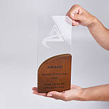 Прямокутна нагорода з дерева і пластику 110х250х35 мм, фото 4