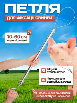 Фіксатор для свиней