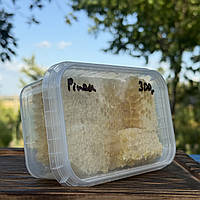 Стільники (соти) Ріпакового меду 300 грам порізані 2025 р