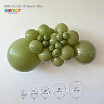 GEMAR-ДЖ 10" G90 098 Пастель Оливковий | Standard Green Olive, фото 4